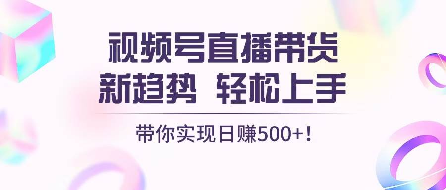 （13370期）视频号直播带货新趋势，轻松上手，带你实现日赚500+-耐玩网创