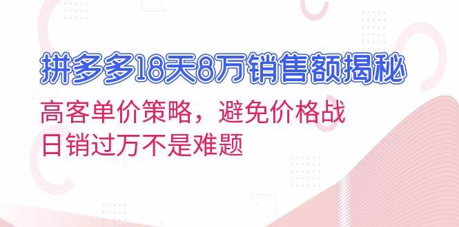（13383期）拼多多18天8万销售额揭秘：高客单价策略，避免价格战，日销过万不是难题-耐玩网创