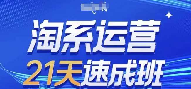 淘系运营21天速成班(更新24年11月)，0基础轻松搞定淘系运营，不做假把式-耐玩网创