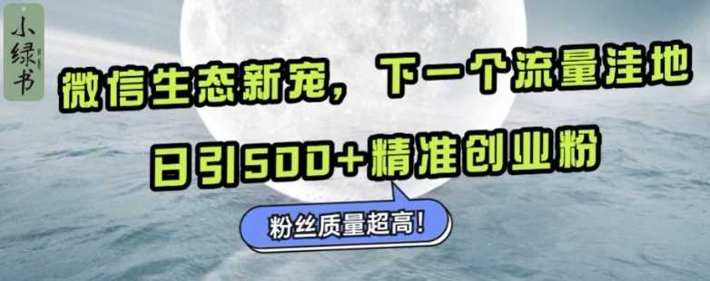微信生态新宠小绿书：下一个流量洼地，日引500+精准创业粉，粉丝质量超高-耐玩网创