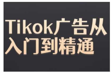 Tiktok Ads实操教程，Tiktok广告从入门到精通-耐玩网创