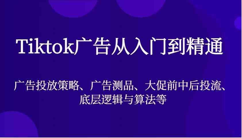 Tiktok广告从入门到精通，广告投放策略、广告测品、大促前中后投流、底层逻辑与算法等-耐玩网创