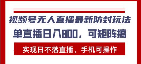 （13377期）视频号无人直播最新防封玩法，实现日不落直播，手机可操作，单直播日入…-耐玩网创