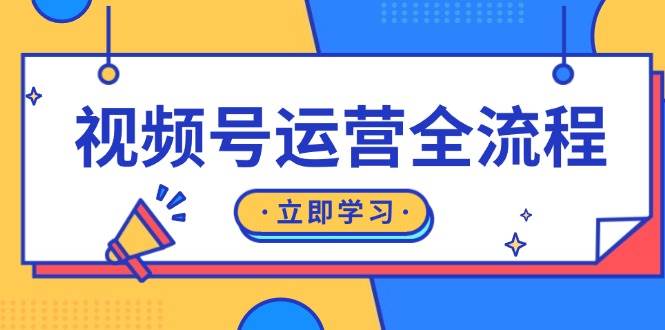 视频号运营全流程：起号方法、直播流程、私域建设及自然流与付费流运营-耐玩网创