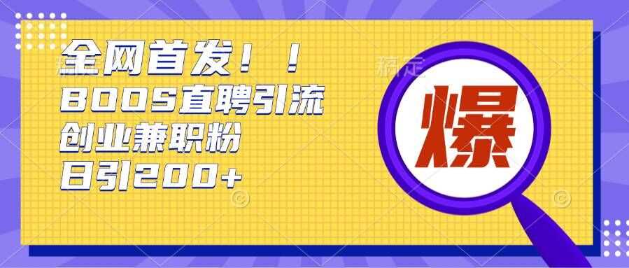 通过Boss直聘，每天轻松钓到200+多条创业大鱼的秘籍【揭秘】-耐玩网创
