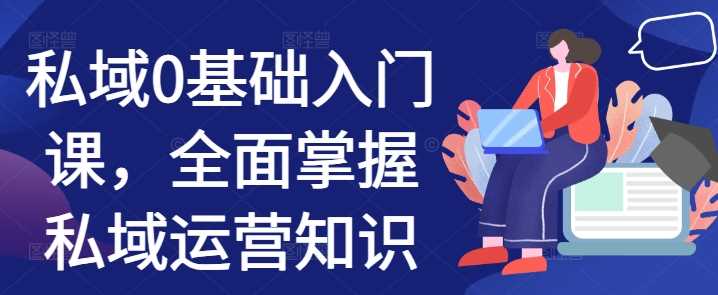 私域0基础入门课，全面掌握私域运营知识-耐玩网创