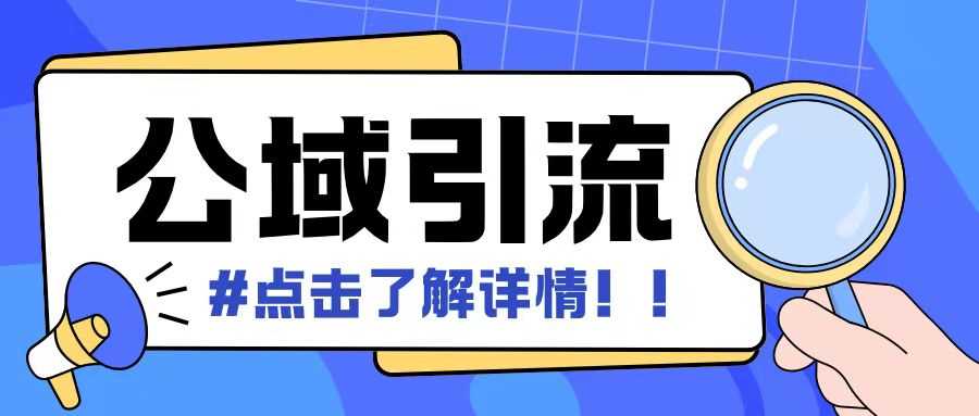 全公域平台，引流创业粉自热模版玩法，号称日引500+创业粉可矩阵操作-耐玩网创