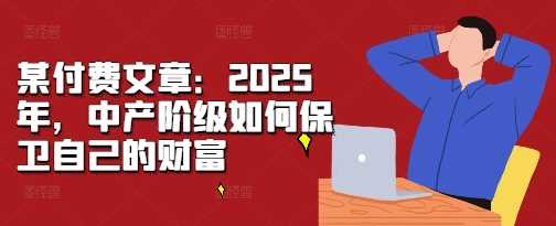 某付费文章：2025年，中产阶级如何保卫自己的财富-耐玩网创