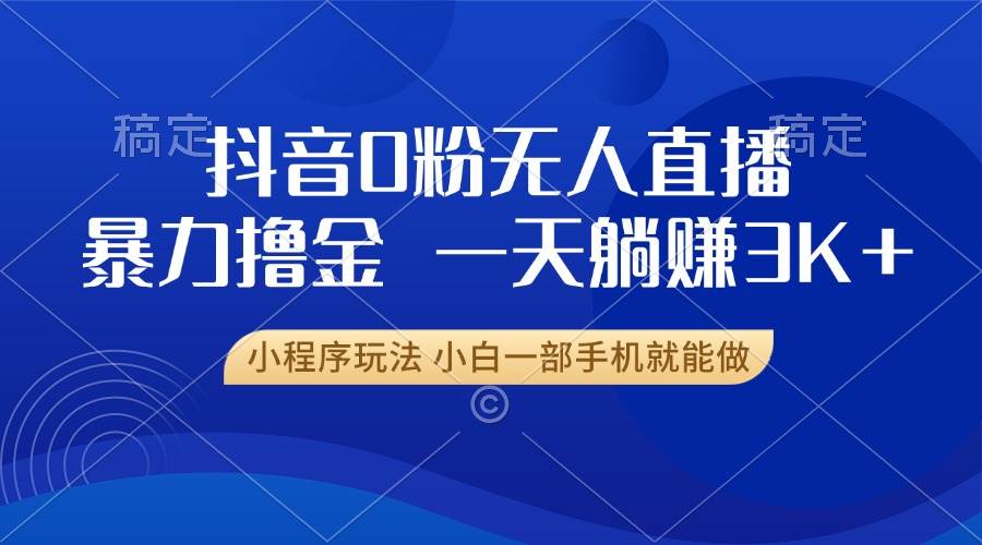 （13449期）抖音0粉无人直播暴力掘金，一天躺赚3K+，小白一部手机就能做-耐玩网创