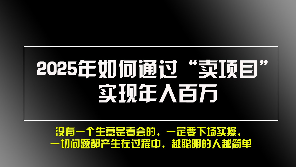 2025年如何通过“卖项目”实现年入百万-耐玩网创