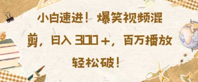 小白速进，爆笑视频混剪，日入3张，百万播放轻松破【揭秘】-耐玩网创