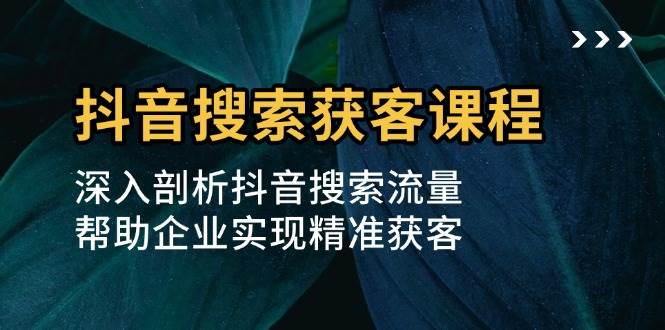 抖音搜索获客课程：深入剖析抖音搜索流量，帮助企业实现精准获客-耐玩网创