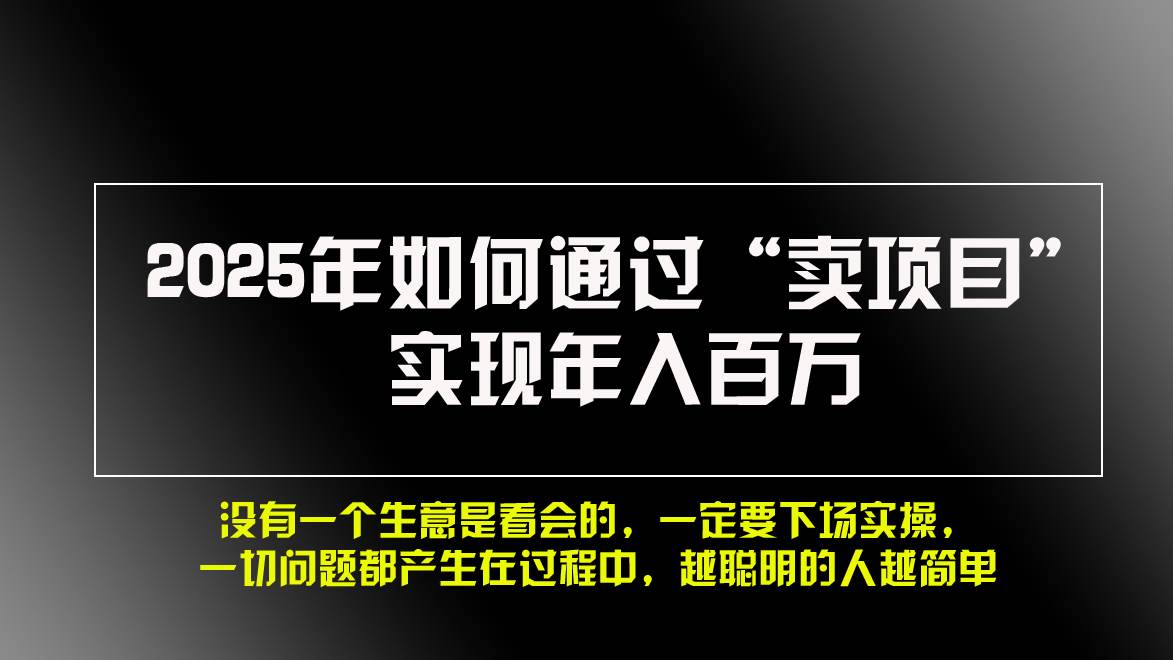 （13468期）2025年如何通过“卖项目”实现年入百万，做网赚必看！！-耐玩网创
