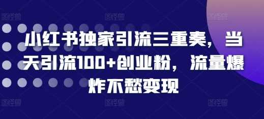 小红书独家引流三重奏，当天引流100+创业粉，流量爆炸不愁变现【揭秘】-耐玩网创