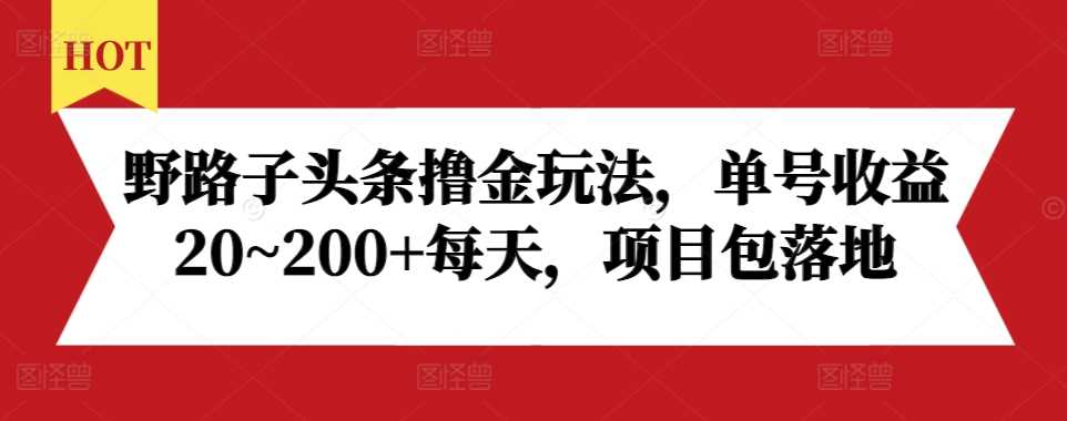 野路子头条撸金玩法，单号收益20~200+每天，项目包落地-耐玩网创