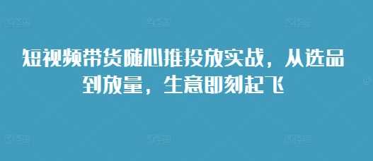短视频带货随心推投放实战，从选品到放量，生意即刻起飞-耐玩网创