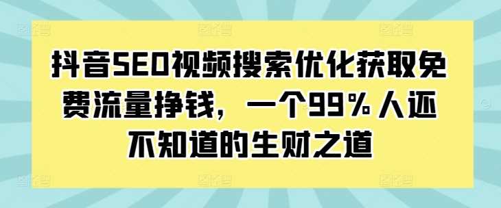 抖音SEO视频搜索优化获取免费流量挣钱，一个99%人还不知道的生财之道-耐玩网创