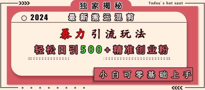 最新搬运混剪暴力引流玩法，轻松日引500+精准创业粉，小白可零基础上手-耐玩网创