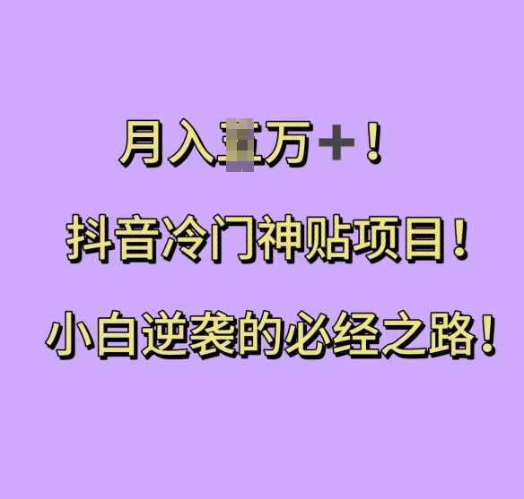 抖音冷门神贴项目，小白逆袭的必经之路，月入过W【揭秘】-耐玩网创