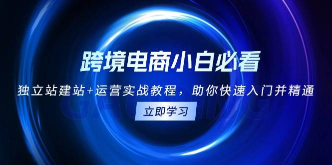 （13503期）跨境电商小白必看！独立站建站+运营实战教程，助你快速入门并精通-耐玩网创