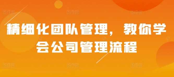 精细化团队管理，教你学会公司管理流程-耐玩网创