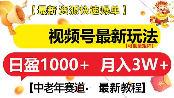 （13530期）视频号最新玩法 中老年赛道 月入3W+-耐玩网创