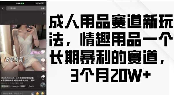 成人用品赛道新玩法，情趣用品一个长期暴利的赛道，3个月收益20个【揭秘】-耐玩网创
