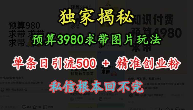 预算3980求带 图片玩法，单条日引流500+精准创业粉，私信根本回不完-耐玩网创