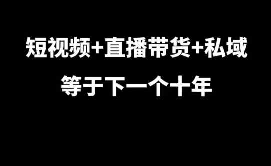 短视频+直播带货+私域等于下一个十年，大佬7年实战经验总结-耐玩网创