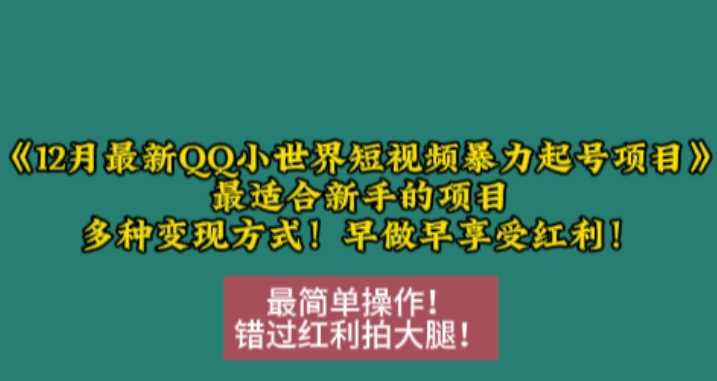 12月最新QQ小世界短视频暴力起号项目，最适合新手的项目，多种变现方式-耐玩网创