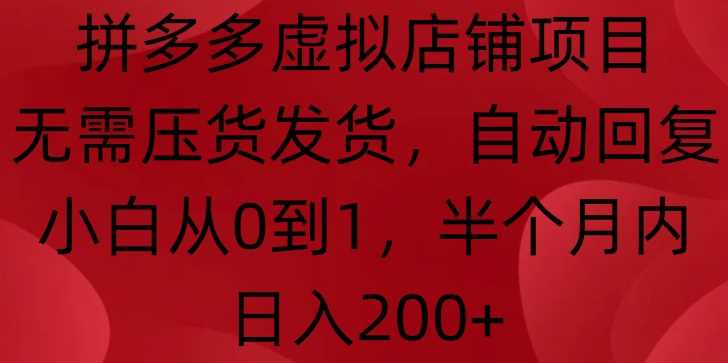 拼多多虚拟店铺项目，无需压货发货，自动回复，小白从0到1，半个月内日入200+【揭秘】-耐玩网创