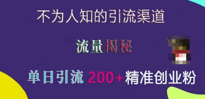 不为人知的引流渠道，流量揭秘，实测单日引流200+精准创业粉【揭秘】-耐玩网创