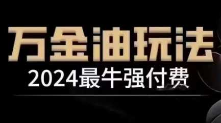 2024最牛强付费，万金油强付费玩法，干货满满，全程实操起飞（更新12月）-耐玩网创