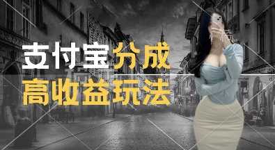 支付宝分成计划新玩法，利用交通事故视频，赚收益，轻松月入过W，操作简单【揭秘】-耐玩网创