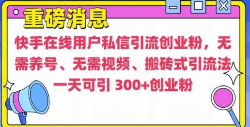 快手最新引流创业粉方法，无需养号、无需视频、搬砖式引流法【揭秘】-耐玩网创