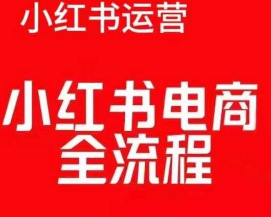 红薯电商实操课，小红书电商全流程-耐玩网创