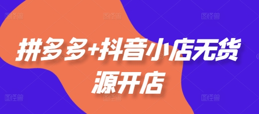 拼多多+抖音小店无货源开店，包括：选品、运营、基础、付费推广、爆款案例等(更新12月)-耐玩网创