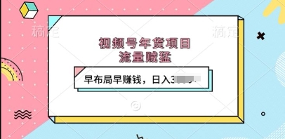 视频号年货项目，流量贼猛，早布局早挣钱，日入上k【揭秘】-耐玩网创