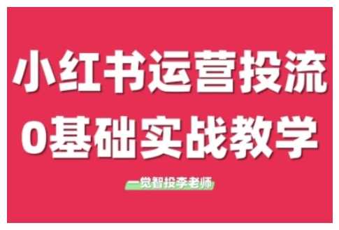 小红书运营投流，小红书广告投放从0到1的实战课，学完即可开始投放-耐玩网创