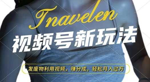 视频号新玩法，废物利用视频，撸分成收益，轻松月入过W【揭秘】-耐玩网创