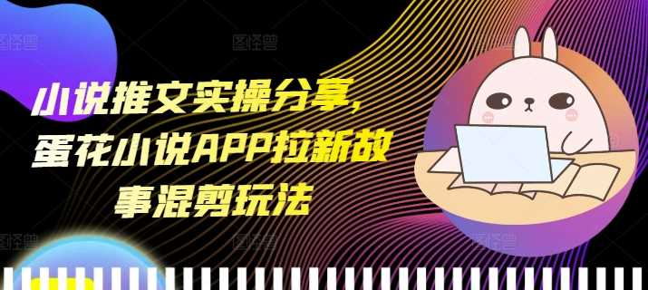 小说推文实操分享，蛋花小说APP拉新故事混剪玩法-耐玩网创