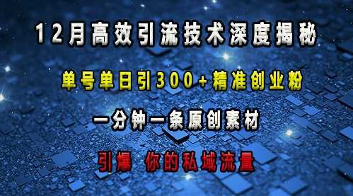 最新高效引流技术深度揭秘 ，单号单日引300+精准创业粉，一分钟一条原创素材，引爆你的私域流量-耐玩网创