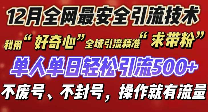 12 月份全网最安全引流创业粉技术来袭，不封号不废号，有操作就有流量【揭秘】-耐玩网创