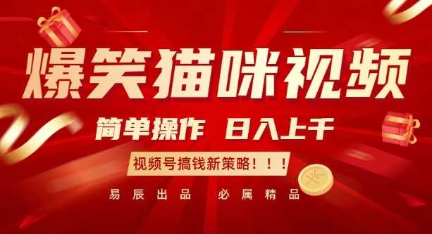 爆笑猫咪视频：简单操作，日入过K，视频号搞钱新策略【揭秘】-耐玩网创