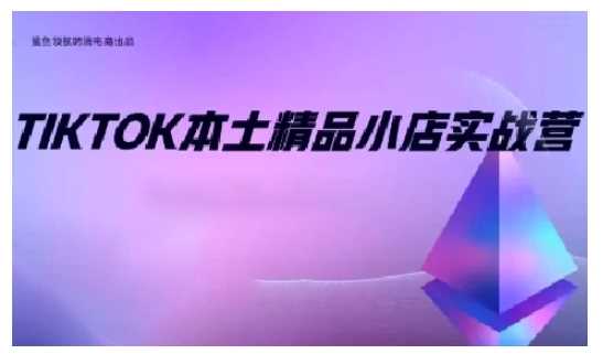 TikTok本土精品小店出海实战营，从入门到高阶，不止0-1!-耐玩网创