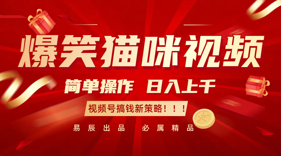 爆笑猫咪视频：简单操作，日入过千，视频号搞钱新策略！-耐玩网创