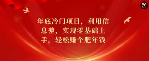 年底冷门项目，利用信息差，实现零基础上手，轻松赚个肥年钱【揭秘】-耐玩网创