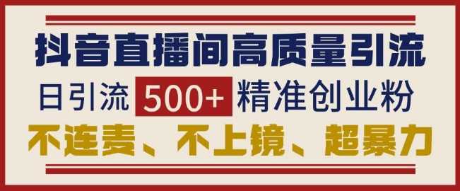 抖音直播间引流创业粉，无需连麦、不用上镜、超暴力，日引流500+高质量精准创业粉-耐玩网创