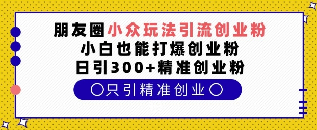 朋友圈小众玩法引流创业粉，小白也能打爆创业粉，日引300+精准创业粉【揭秘】-耐玩网创