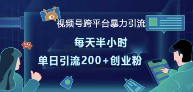 视频号跨平台暴力引流，每天半小时，单日引流200+精准创业粉-耐玩网创